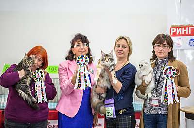  ' -'  5-6  2014 WCF- wcf-Young CatSalon-297.jpg